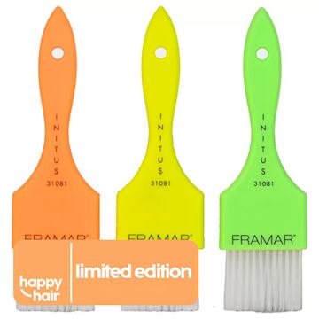 FRAMAR VERFKWAST POWER PAINTER 3st (NEON)*