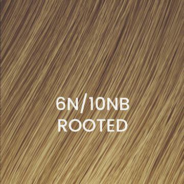 BHBD WEFT 50x25cm 6N/10NB ROOTED